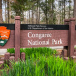 US National Park : Congaree National Park