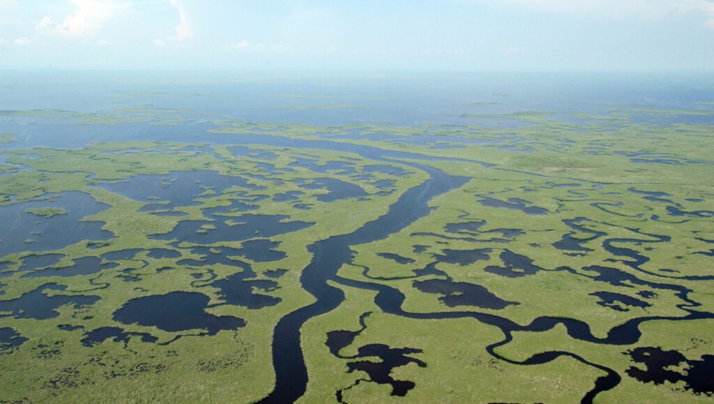 US National Park : Everglades National Park