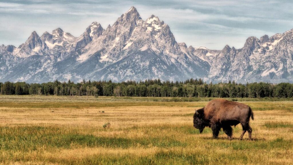 US National Park : Grand Teton National Park