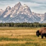 US National Park : Grand Teton National Park