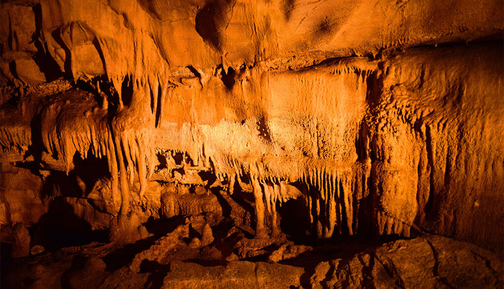 US National Park : Mammoth Cave National Park