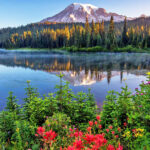 US National Park : Mount Rainier National Park