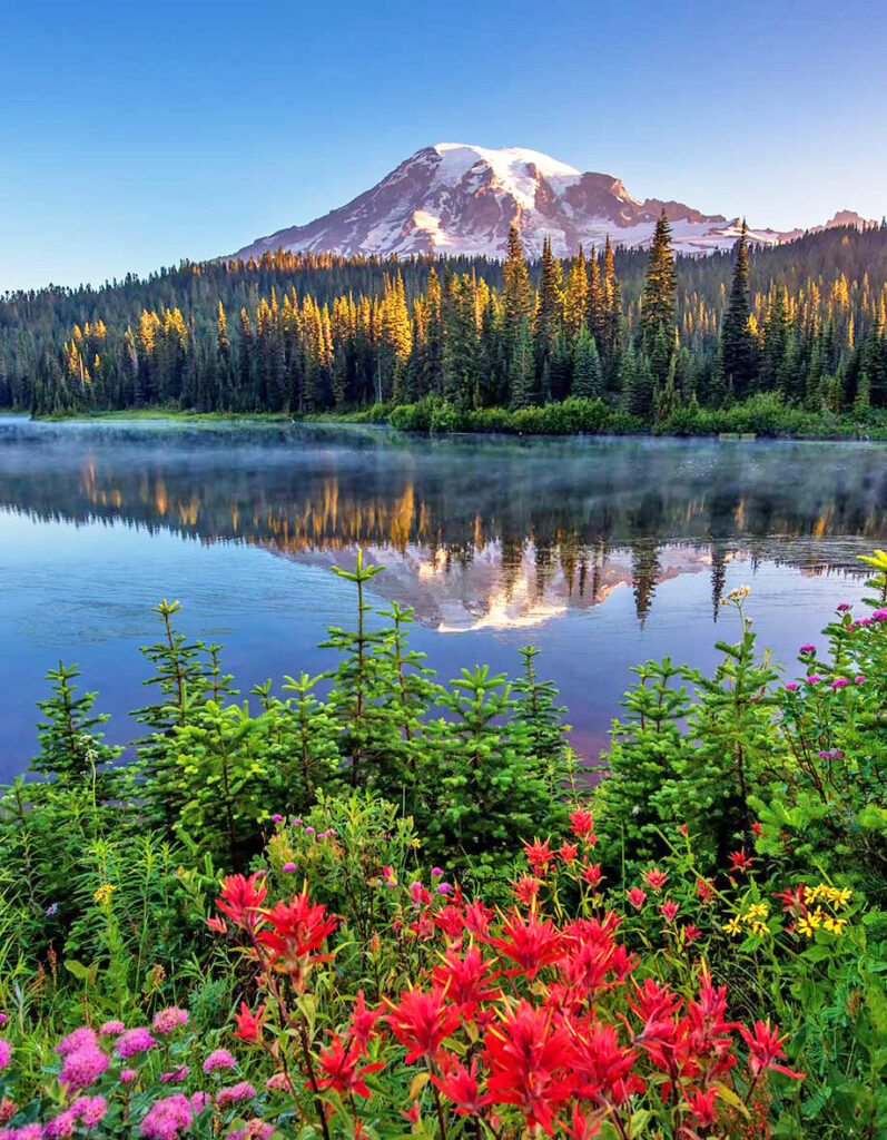 US National Park : Mount Rainier National Park
