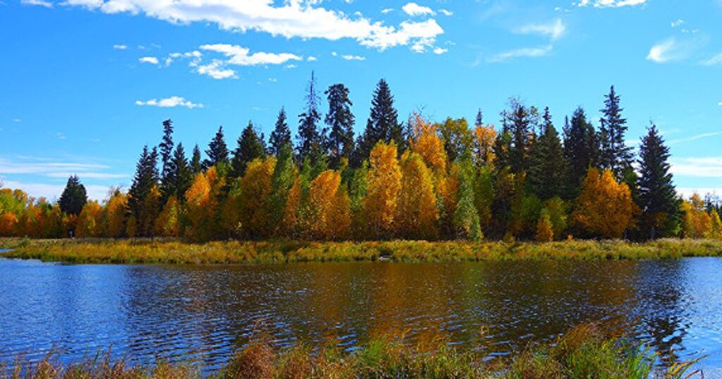 National Parks in Canada : Elk Island National Park