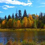 National Parks in Canada : Elk Island National Park