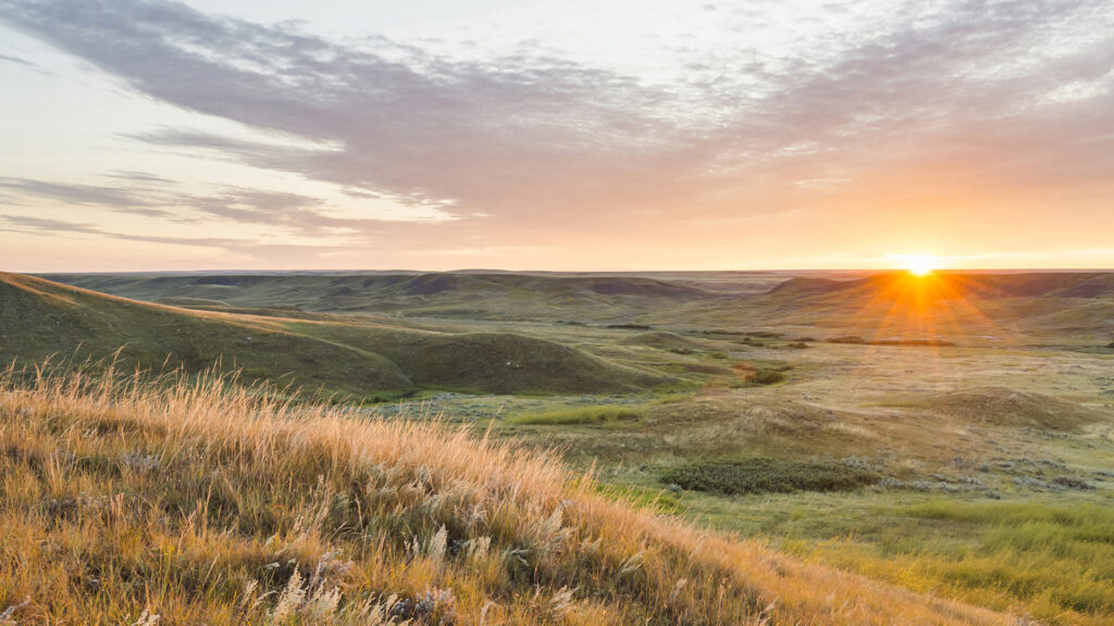 National Parks in Canada : Grasslands National Park
