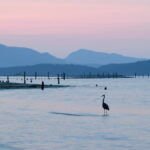National Parks in Canada : Gulf Islands National Park Reserve