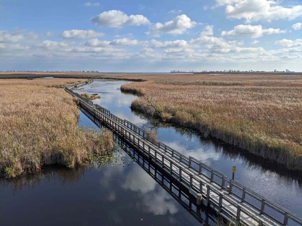 National Parks in Canada : Point Pelee National Park