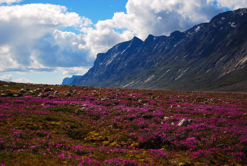 National Parks in Canada : Qausuittuq National Park