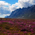 National Parks in Canada : Qausuittuq National Park