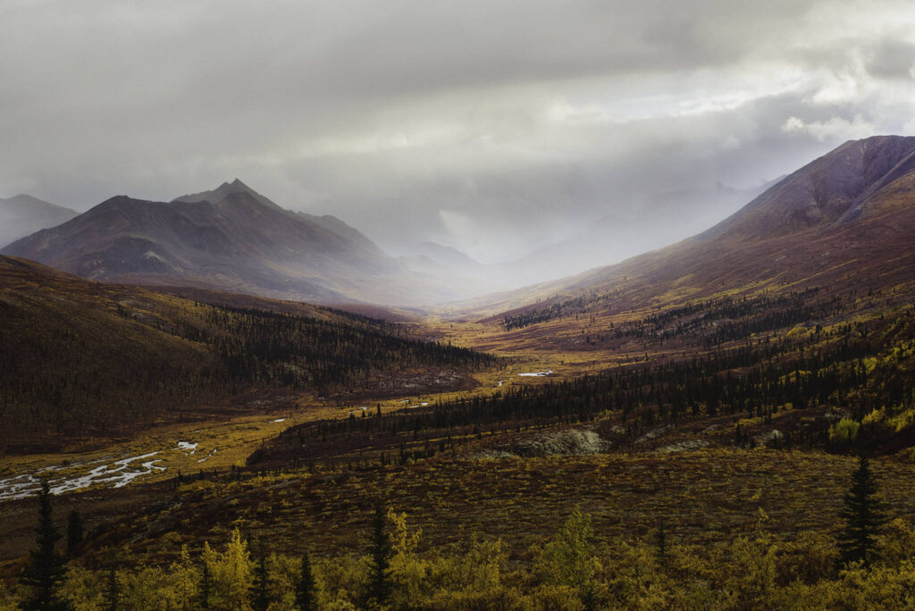 National Parks in Canada : Qikiqtaruk Territorial Park