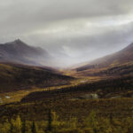 National Parks in Canada : Qikiqtaruk Territorial Park