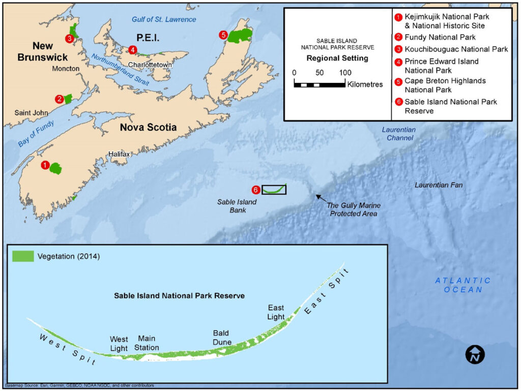 National Parks in Canada : Sable Island National Marine Conservation Area