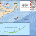 National Parks in Canada : Sable Island National Marine Conservation Area