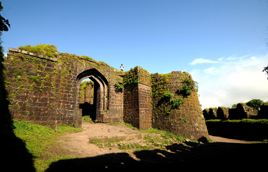 National Parks in India : Gugamal National Park