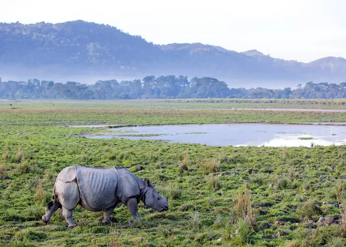 National Parks in India Kaziranga National Park