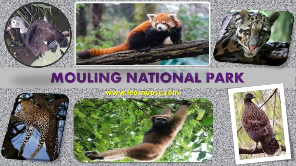National Parks in India : Mouling National Park