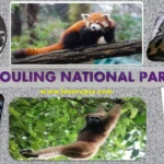 National Parks in India : Mouling National Park