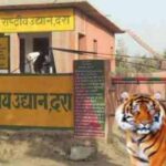 National Parks in India : Mukundra Hills National Park