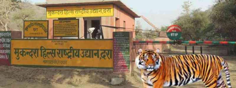 National Parks in India : Mukundra Hills National Park
