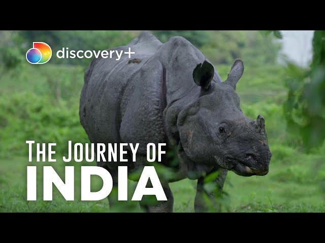 National Parks in India : Murlen National Park