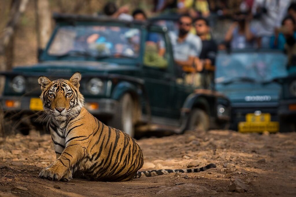 National Parks in India Ranthambore National Park