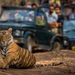 National Parks in India Ranthambore National Park