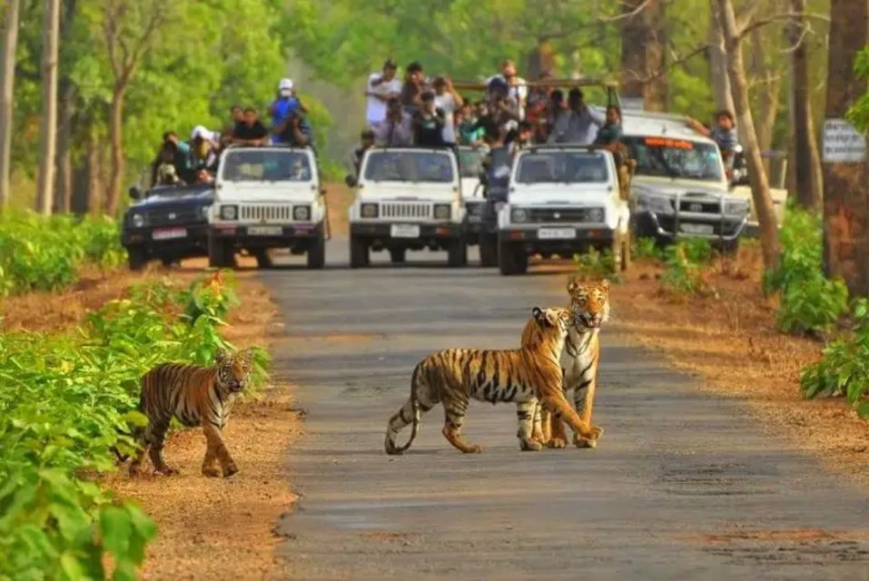 National Parks in India : Sariska National Park