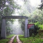 National Parks in India : Silent Valley National Park