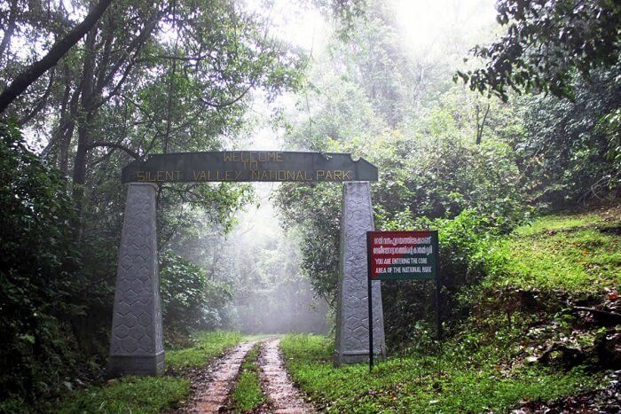 National Parks in India : Silent Valley National Park
