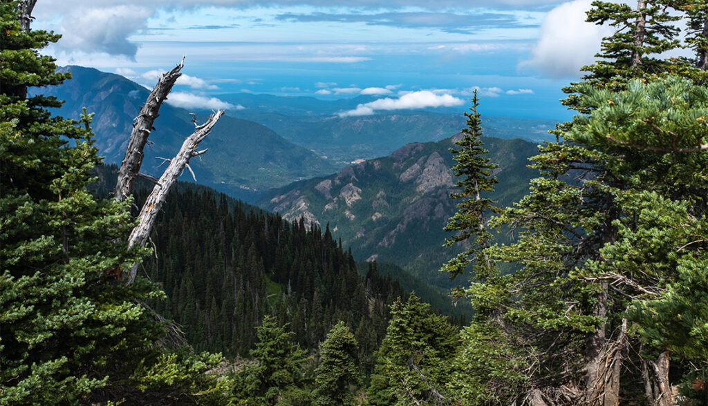 US National Park : Olympic National Park