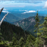 US National Park : Olympic National Park