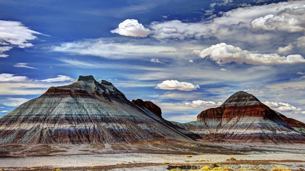 US National Park : Petrified Forest National Park