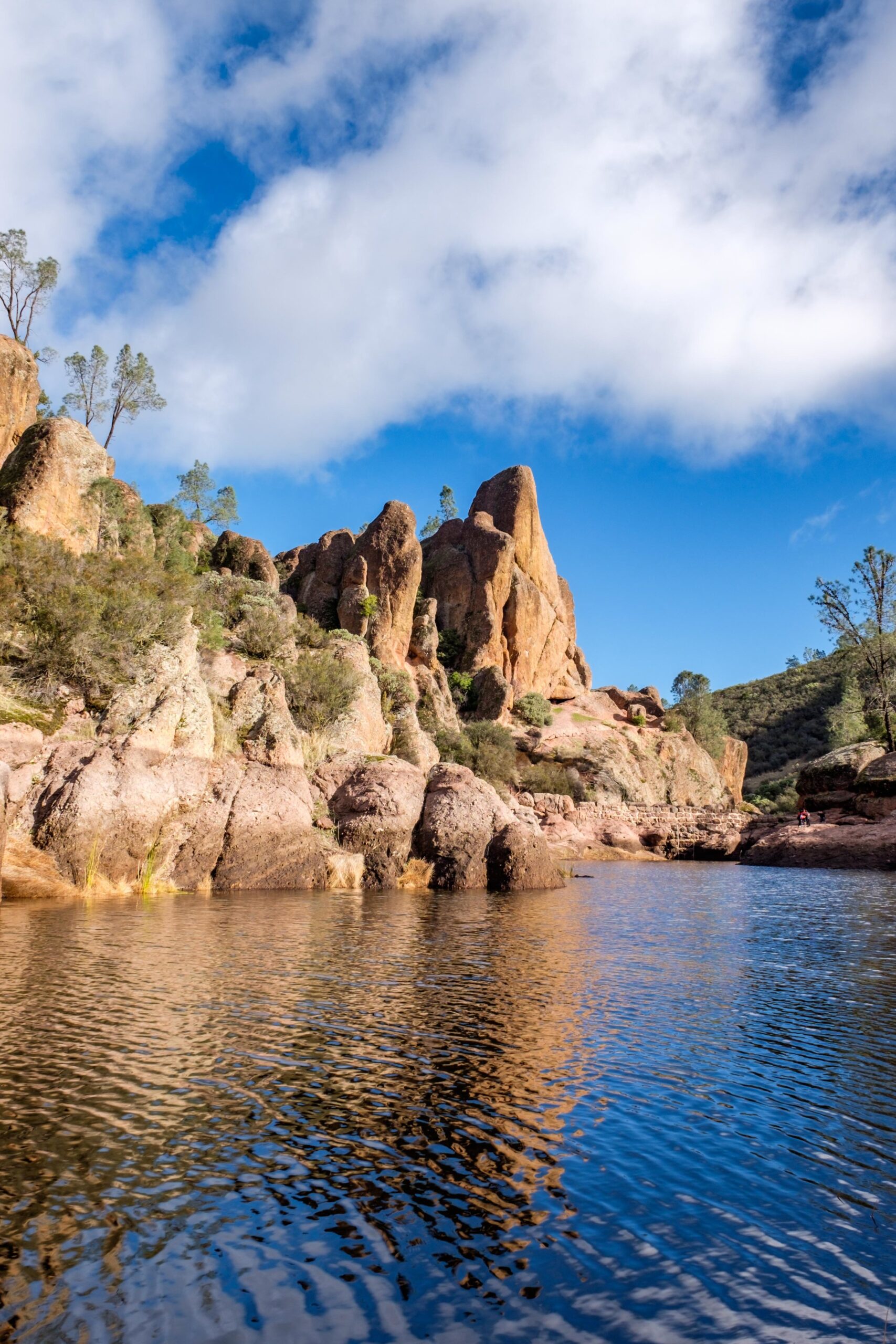 US National Park : Pinnacles National Park
