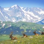 US National Park : Rocky Mountain National Park