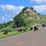 US National Park : Theodore Roosevelt National Park