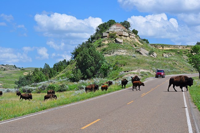 US National Park : Theodore Roosevelt National Park