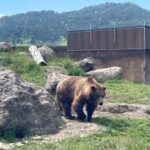 Things to Do in Montana