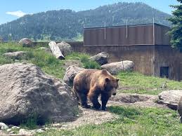 Things to Do in Montana