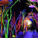 Things to Do in New Mexico