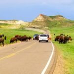 Things to Do in North Dakota