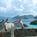 US National Park : Virgin Islands National Park