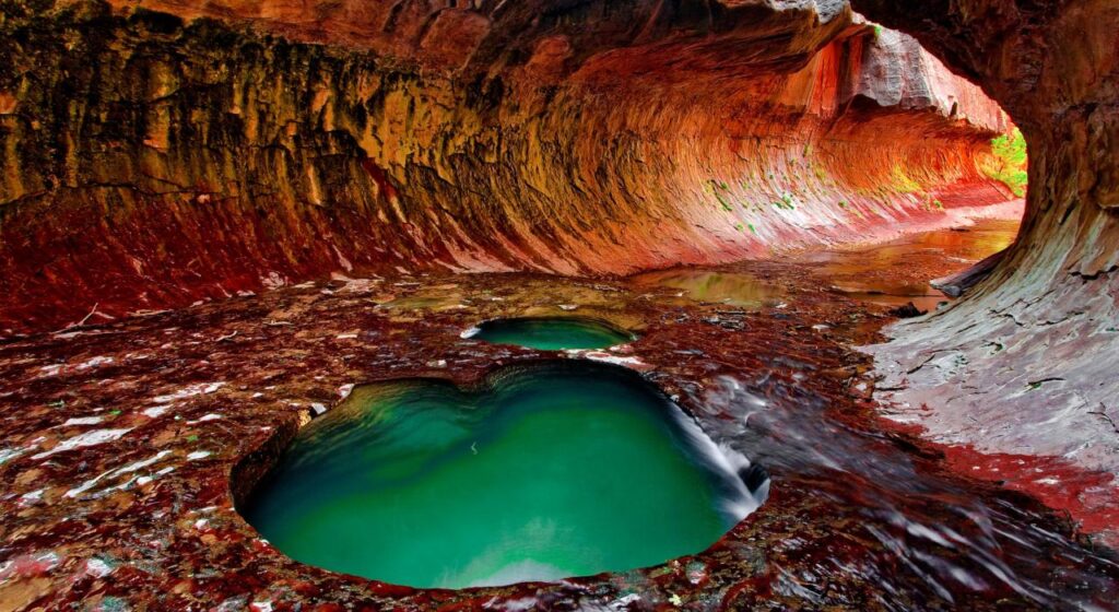 US National Park : Zion National Park
